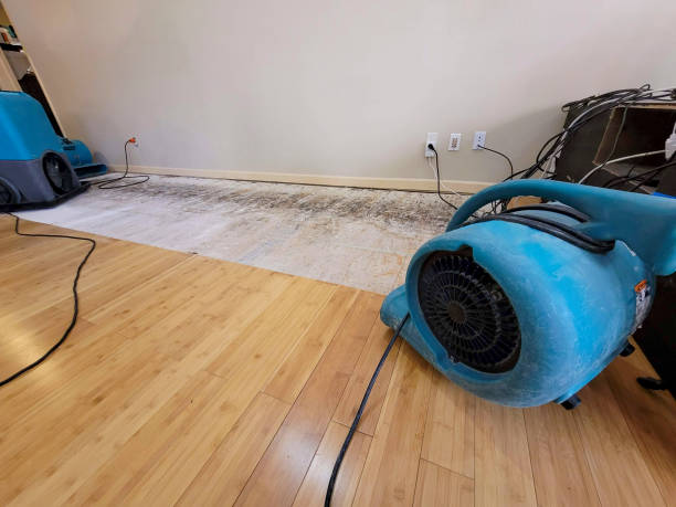 Professional Structural Drying technician working in Porter, IN